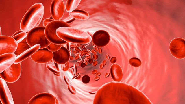 فوائد جل الصبار لزيادة الصفائح الدموية