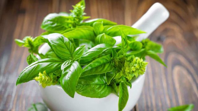 هذه الأعشاب تساعد على تطويل الشعر .. اكتشفيها