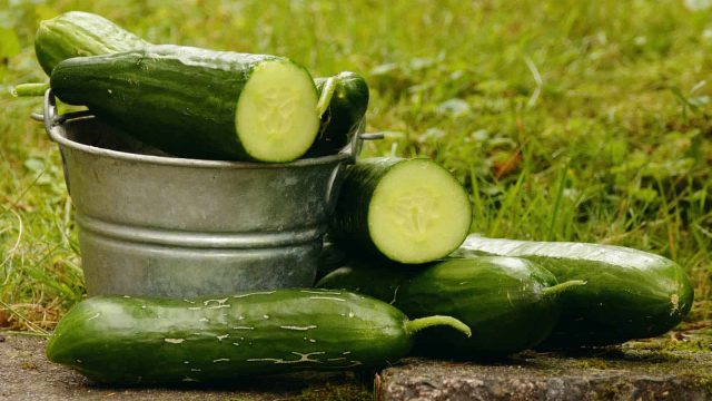 تعرفي على فوائد الخيار الصحية والجمالية