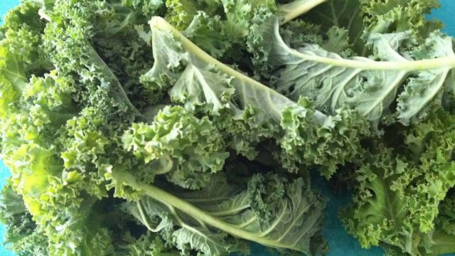 منافع سحرية لنبات الكيل على البشرة والشعر.. تعرفي إليها