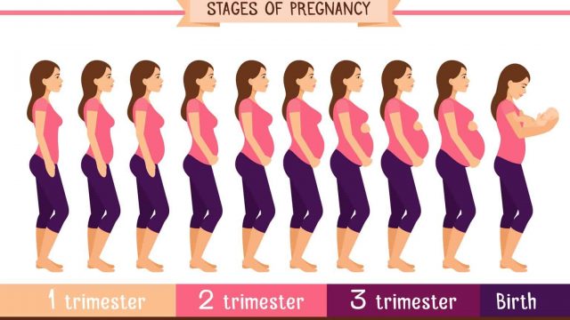 تعرفي إلى كيفية حساب أسابيع الحمل بشكل بسيط