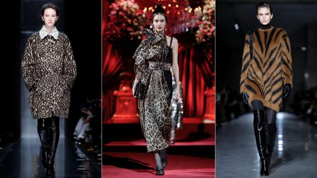 عروض أزياء بطبعات الحيوانات من أسبوع الموضة بميلانو