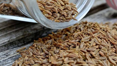 تعرفي إلى فوائد الشمر الصحية والجمالية