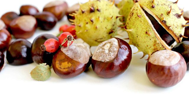 اكتشفي فوائد الكستناء الصحية