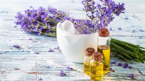 حافظي على جمال بشرتك مع علاجات زيت اللافندر