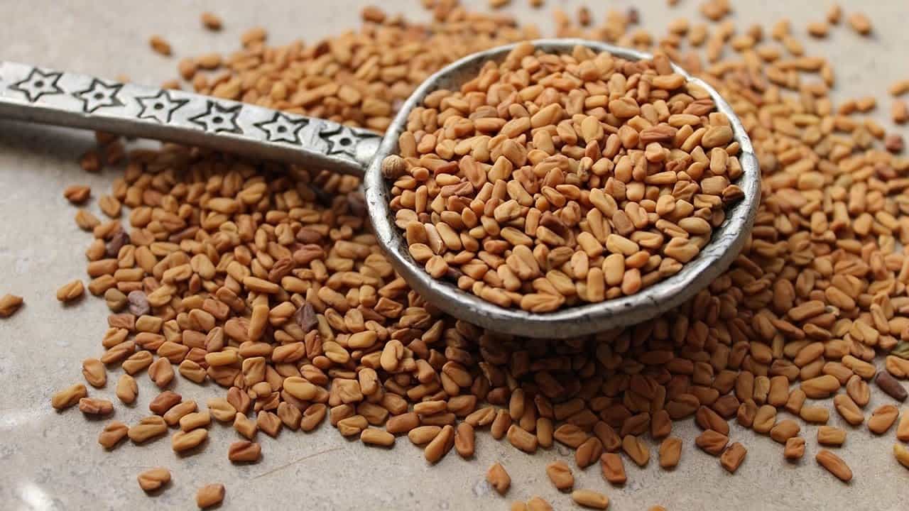 فوائد الحلبة للحمل