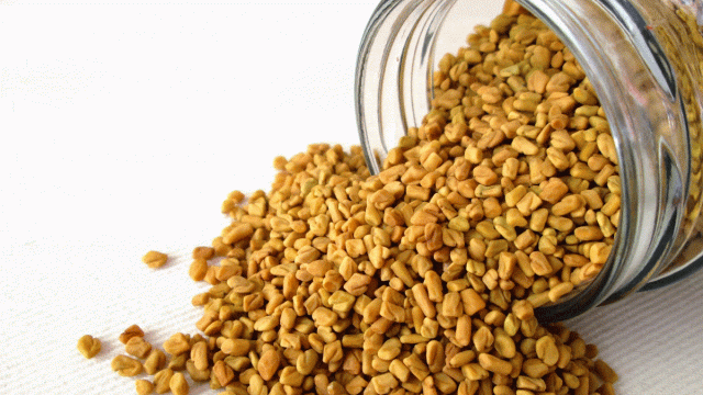 فوائد الحلبة وعلاجاتها الممتازة