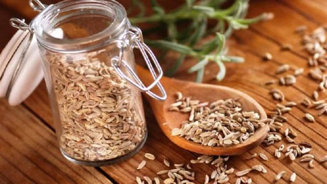 مشروبات حبوب الشمر المساعدة على التخسيس