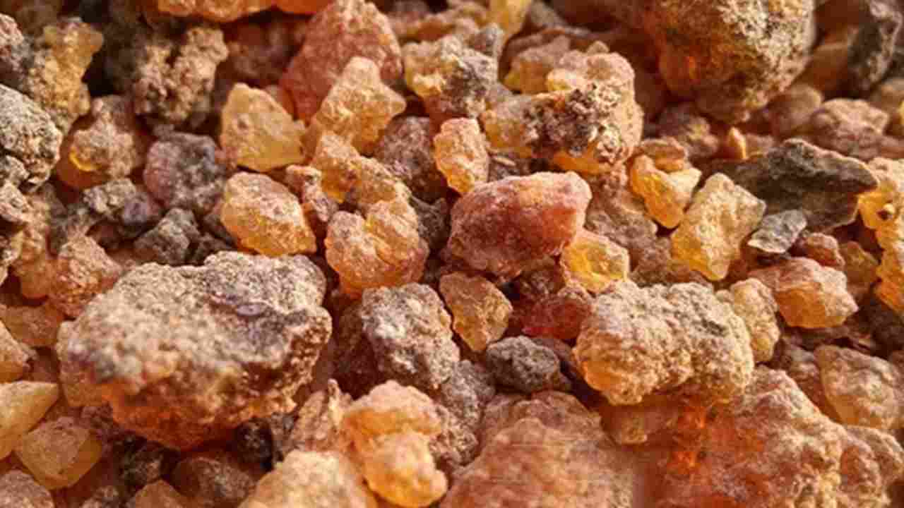  فوائد المرة 