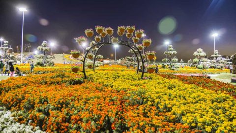 حديقة الزهور في دبي الأجمل في العالم وهذه هي الأسباب