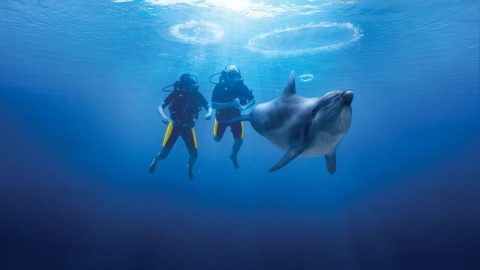 اماكن سياحيه في دبي تحبس الأنفاس عليك زيارتها