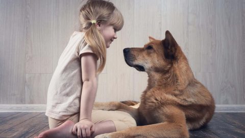 كيف ندعم الطفل عند وفاة حيوانه المفضل ؟