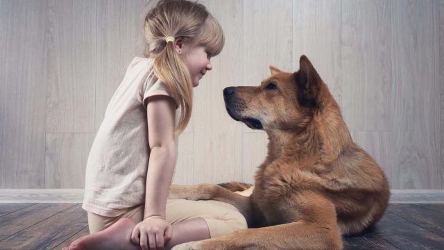 كيف ندعم الطفل عند وفاة حيوانه المفضل ؟