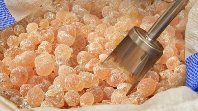 فوائد لاتصدق للمستكة تعرفي إليها