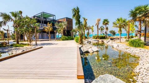 أفضل الشواطئ في دبي لقضاء فصل صيف ممتع وشيق