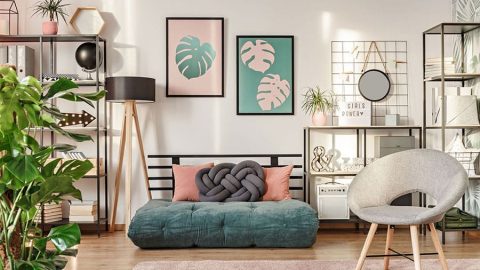 أفضل النباتات المنزلية التي تساعد على تطهير الأجواء