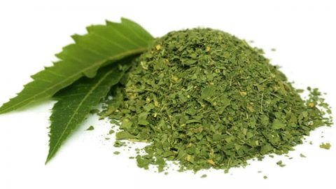 جربي خلطات الأعشاب لعلاج حب الشباب