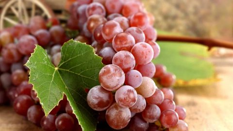 تمتعي بأكثر من 20 فائدة للعنب .. لا تستغني عنه