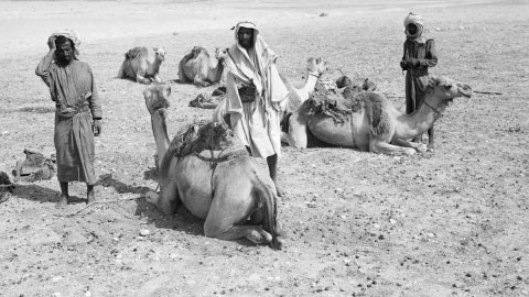 حياة البدو في دبي قصة أخرى تحبس الأنفاس