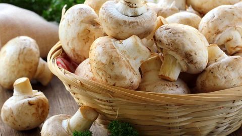 تعرفي إلى أفضل أنواع الفطر الصحية