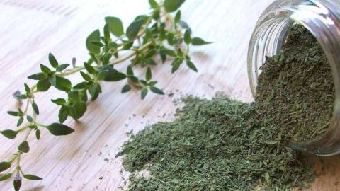 الزعتر للشعر وفوائده المذهلة