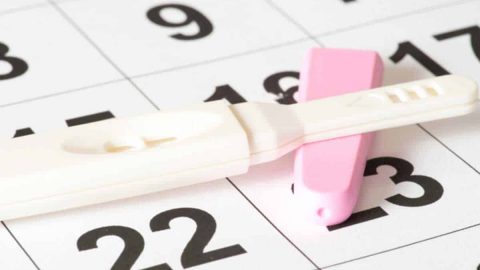 التبويض والدورة الشهرية : دليلك الكامل لفهم خصوبتك