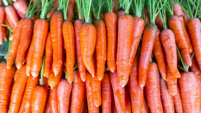 اكتشفي فوائد الجزر لمرضى السكري