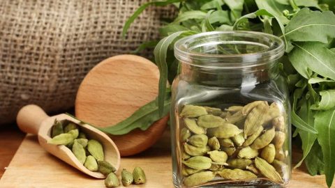 الحبهان منجم من الفوائد الجمالية للشعر .. تعرفي إليه أكثر