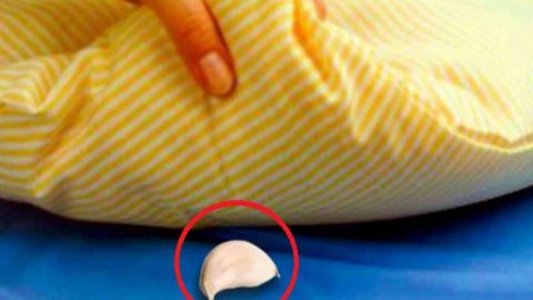 الثوم تحت الوسادة قبل النوم عادة مفيدة أو ضارة؟