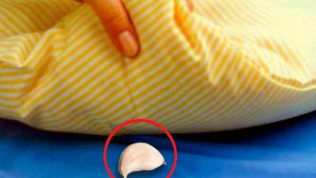 الثوم تحت الوسادة قبل النوم عادة مفيدة أو ضارة؟