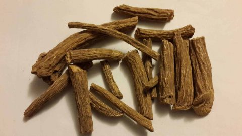 طريقة استعمال القسط الهندي وفوائده الصحية والجمالية