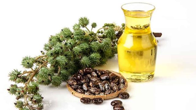 فوائد غير متوقعة لزيت الخروع تعرفي إليها