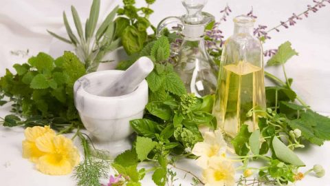 أعشاب طبيعية لعلاج نقص المناعة