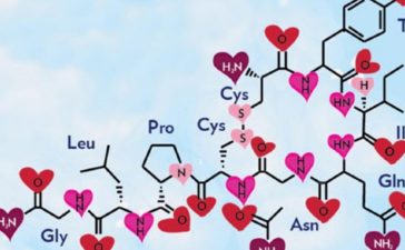 الأوكسيتوسين هرمون الحب