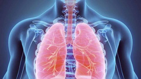 كيف تنتشر أمراض الجهاز التنفسي؟