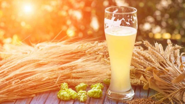 إليك أهم الفوائد الصحية لشراب الشعير