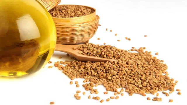 منافع سحرية لزيت الحلبة على الشعر .. اكتشفيها