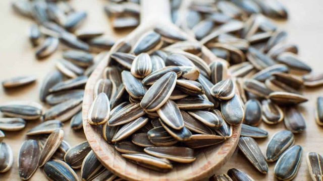 فوائد صحية لتناول اللب الأسمر