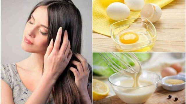 أقنعة البيض للعناية بالشعر التالف