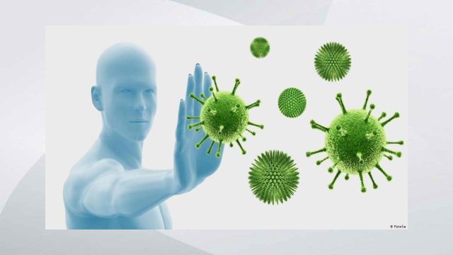 اعتمدي هذه المأكولات لتقوية جهاز المناعة