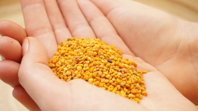 كل التفاصيل عن استخدام حبوب اللقاح للتسمين