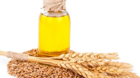 لا تفوتي فوائد زيت جنين القمح للعناية بالبشرة