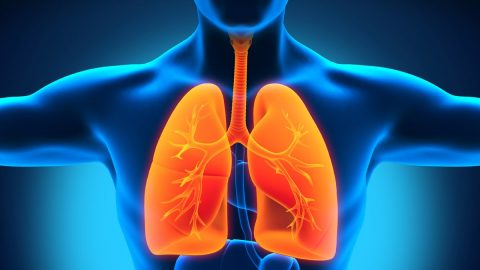 قائمة بأفضل الأطعمة التي تساعد في تحسين التنفس وتنقية الرئتين