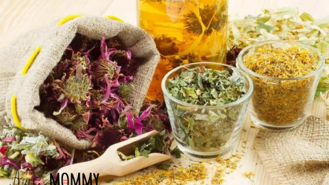 أعشاب تنظيف الرحم في فترة النفاس تعرفي إليها