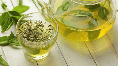 جرثومة المعدة : 8 وصفات فعالة لعلاجها بالأعشاب في المنزل