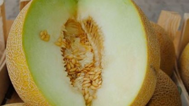 تحبين البطيخ الأصفر ؟ لن تصدقي ما يفعله بجسمك!