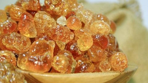 تعرفي على أسرار الصمغ العربي الجمالية