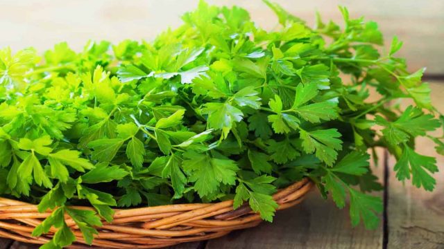 كيف تحضرين شوربة البقدونس لحرق دهون البطن والخصر؟