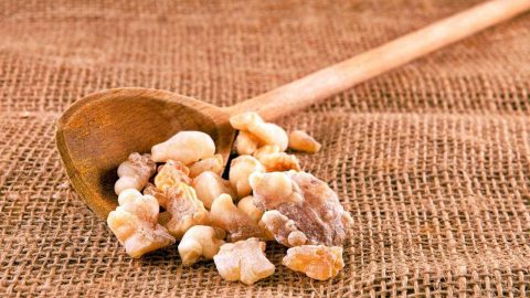 اللبان الذكر منجم من الفوائد الجمالية .. تعرفي إليها