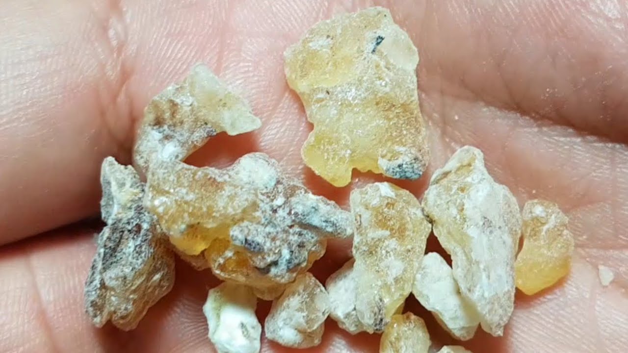 اللبان الذكر 